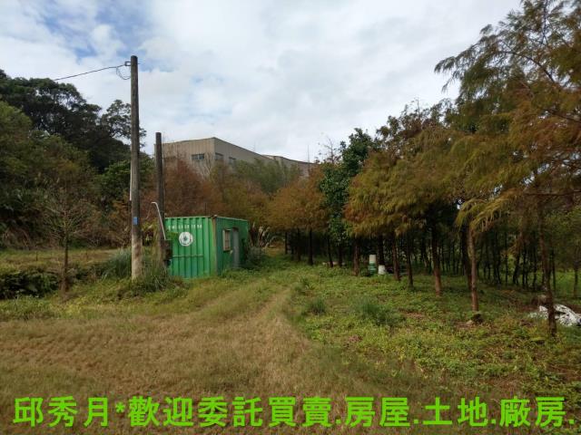 新北淡水農地-13
