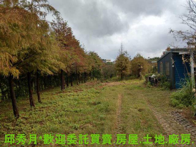 新北淡水農地-14