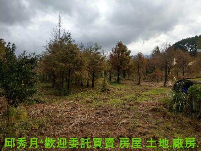 新北淡水農地-2