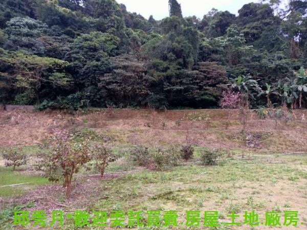 石門農地-4