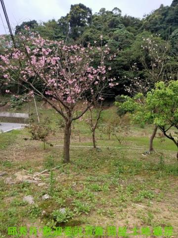 石門農地-5