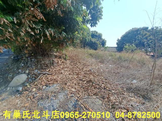 二水建地-1