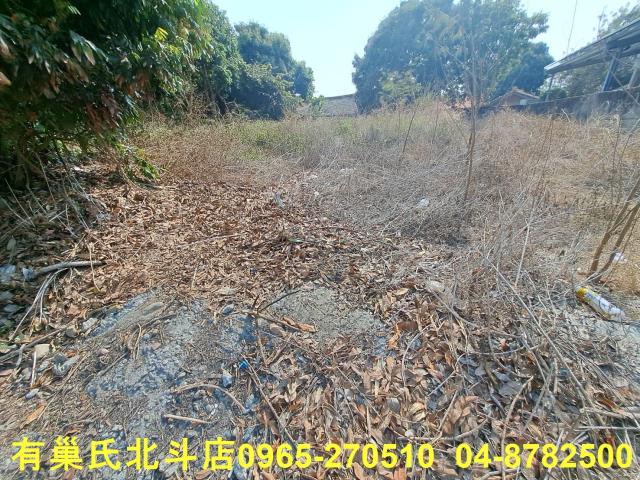 二水建地-4