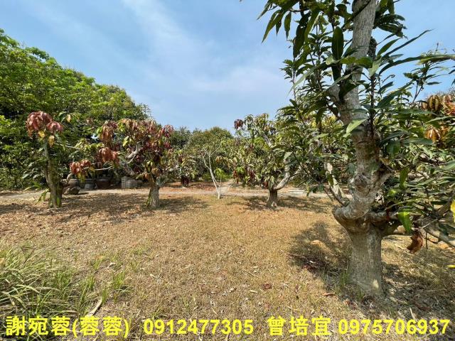 田寮農地-3