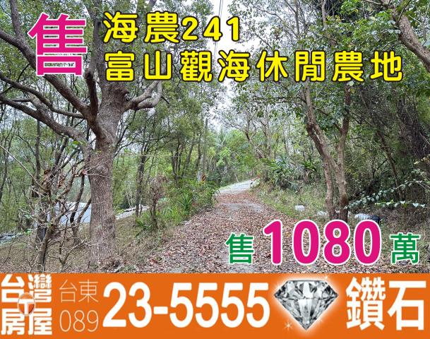 台東卑南農地-1