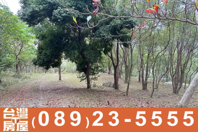 台東卑南農地-3