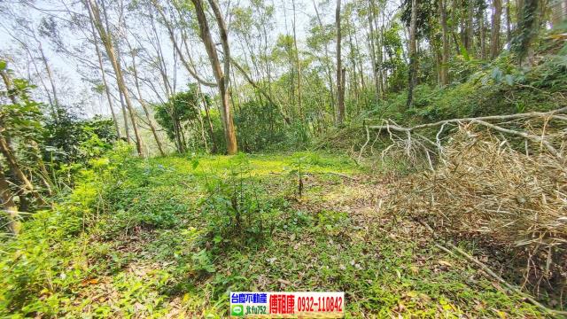 新竹北埔山坡地-14