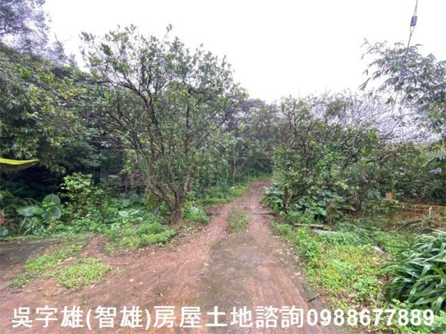 淡水農地-3