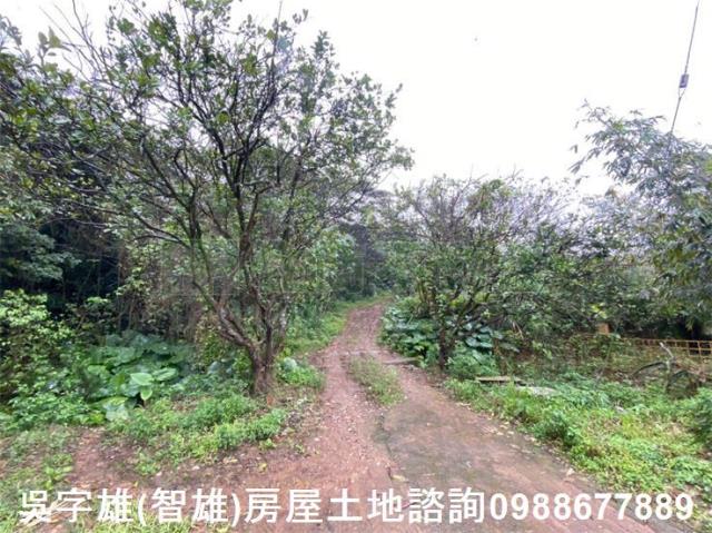 淡水農地-4