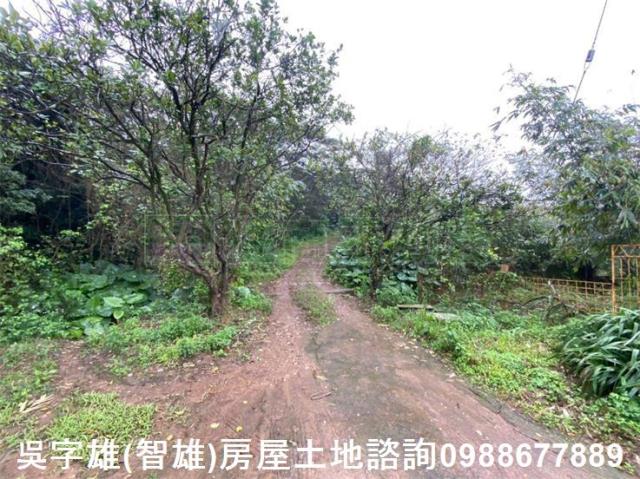 淡水農地-3