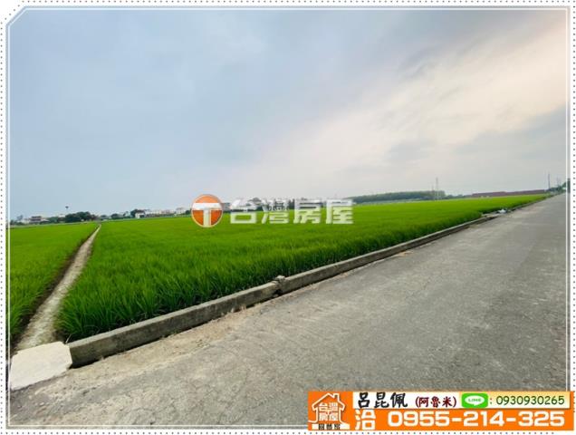 大林農地-3