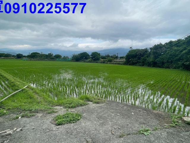 宜蘭農地-3