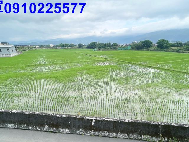 宜蘭農地-6