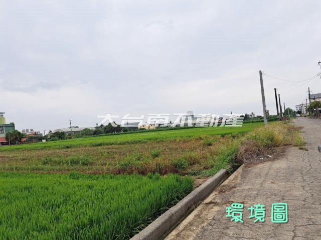 台南善化農地-4