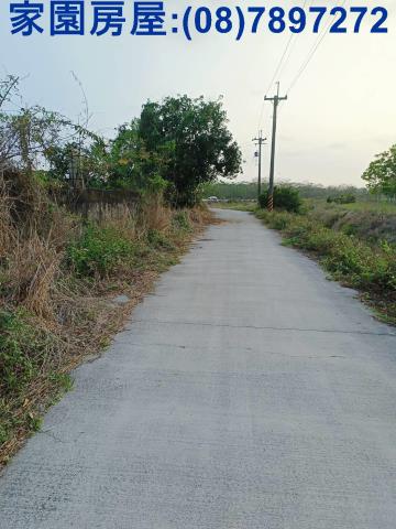 新埤農地-11