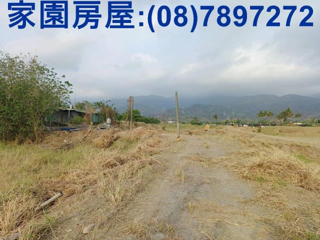 新埤農地-4