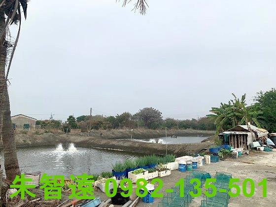 台南農地-4