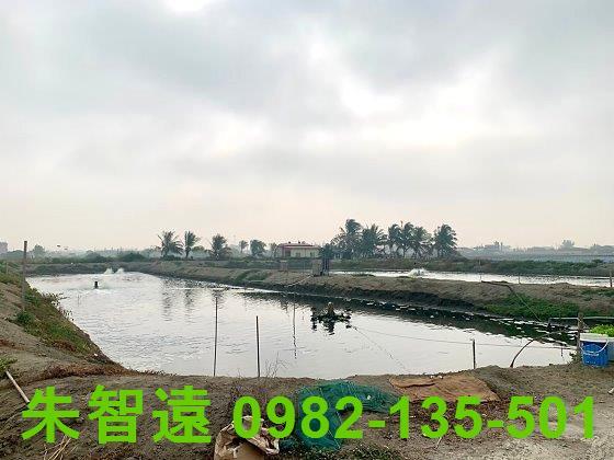 台南農地-6