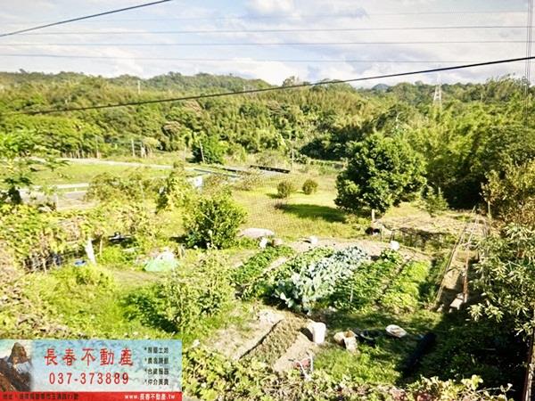 頭屋農地-3