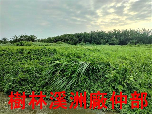 桃園新屋農地-3