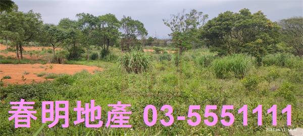 新竹農地-10