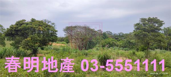 新竹農地-2
