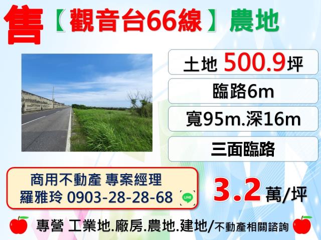 桃園觀音農地-1