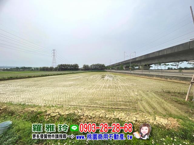 楊梅農地-6