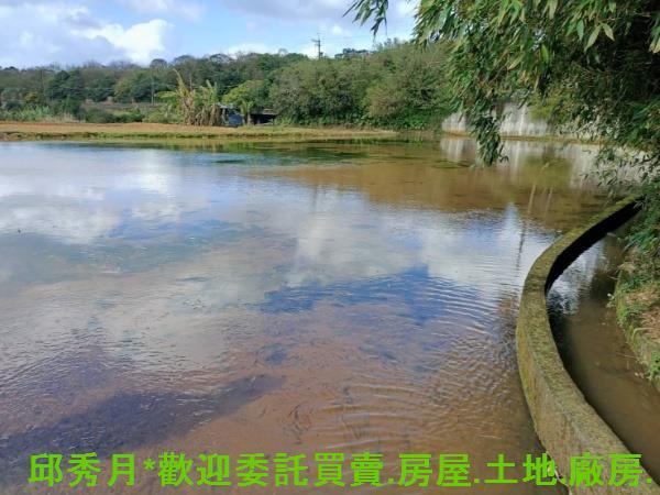 新北淡水農地-4