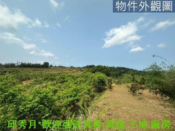 新北淡水農地-3