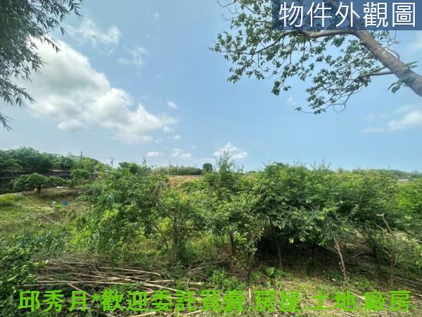 新北淡水農地-9