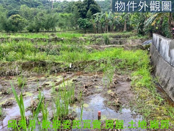 新北三芝農地-1