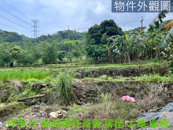 新北三芝農地-2