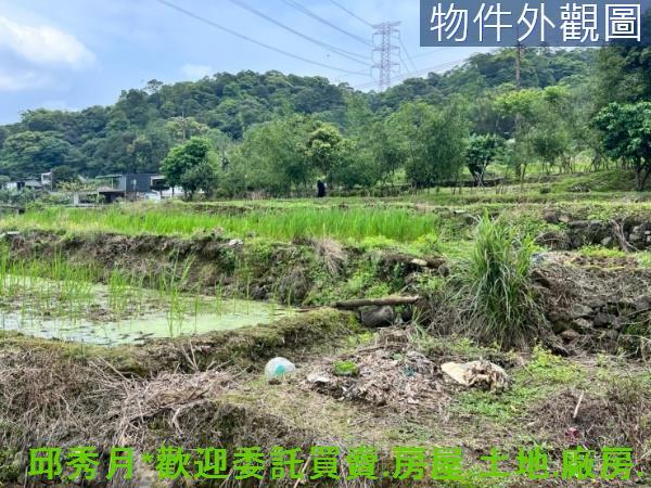 新北三芝農地-3