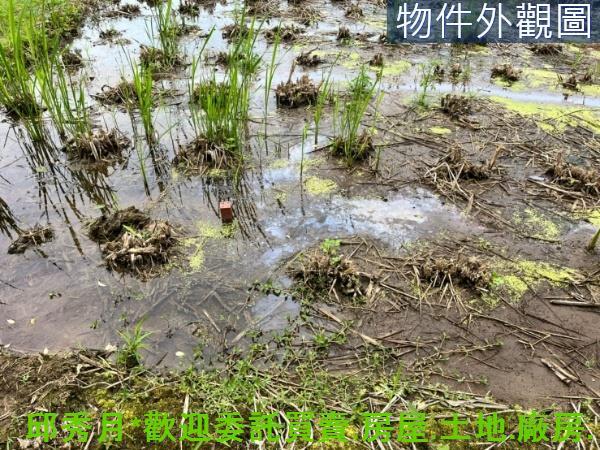 新北三芝農地-6