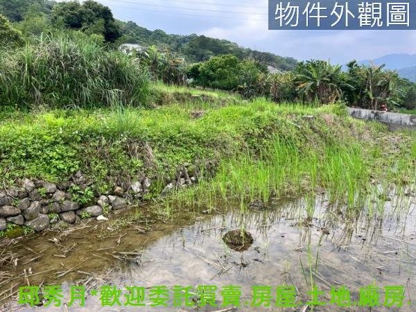 新北三芝農地-8