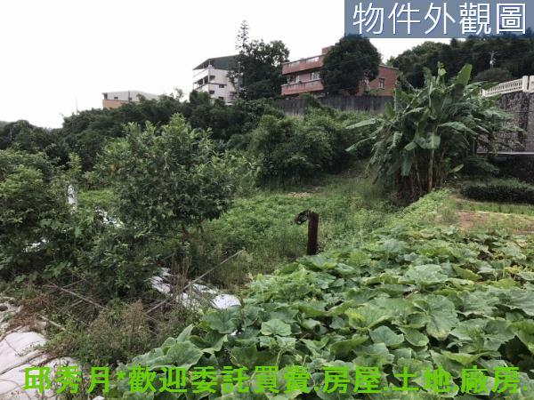 新北淡水農地-10