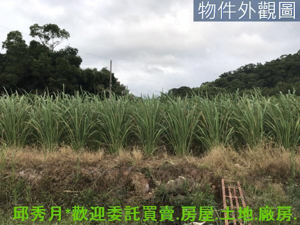 新北淡水農地-9