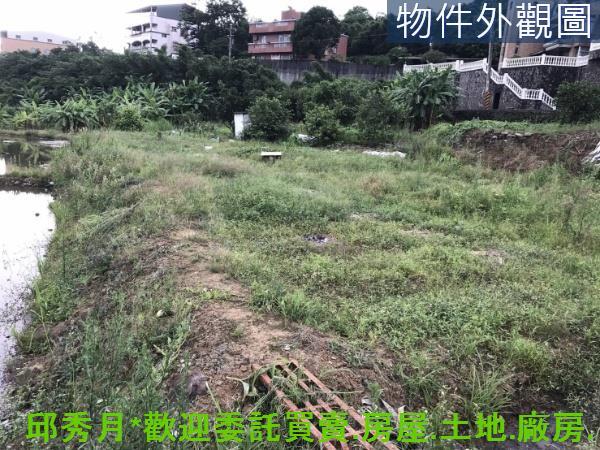 新北淡水農地-5
