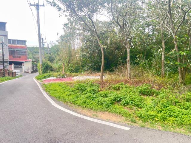 桃園龍潭農地-3