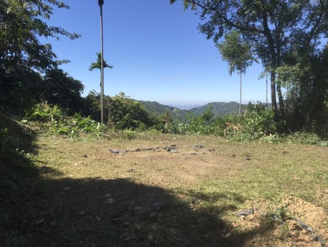 台中太平山坡地-11