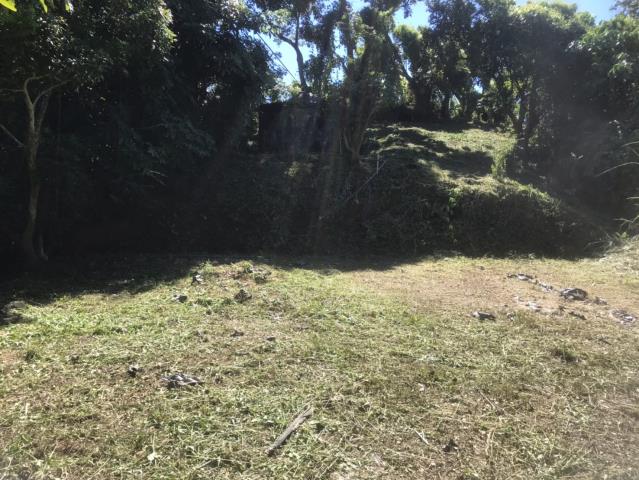 台中太平山坡地-13