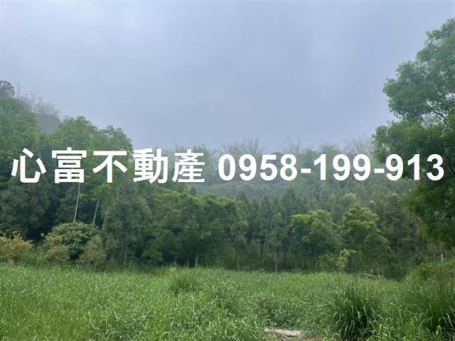 大社農地-3