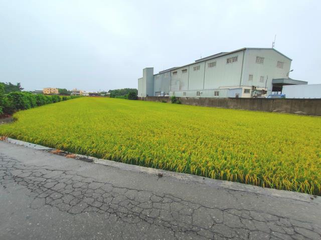 二林農地-3