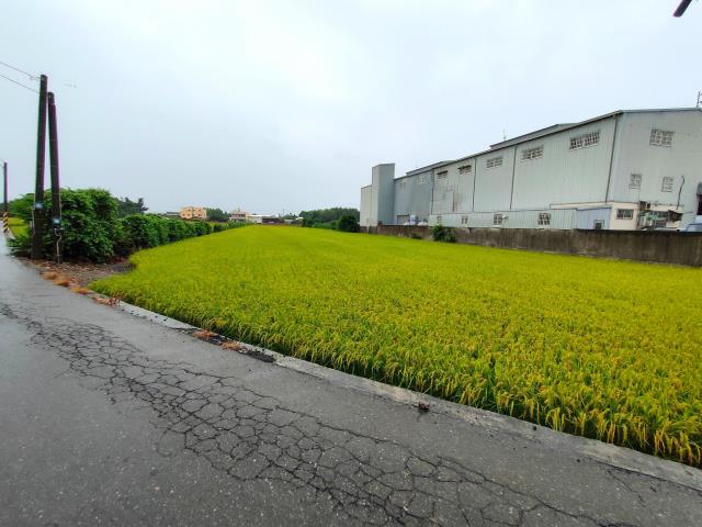 二林農地-5