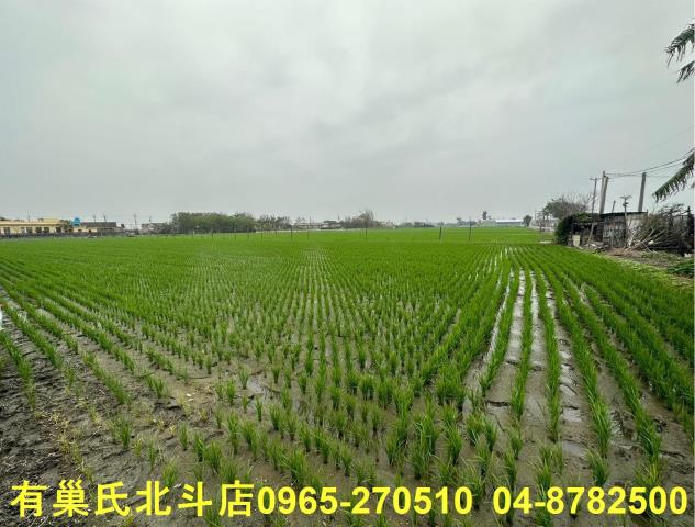 埔鹽農地-7