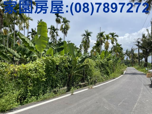 屏東內埔農地-3