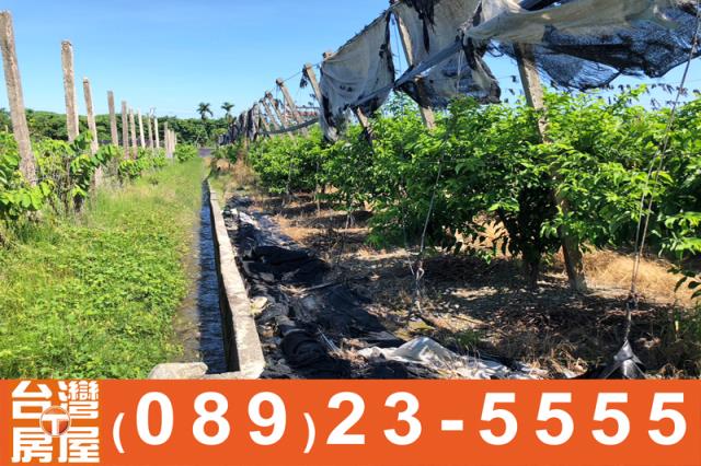台東農地買賣