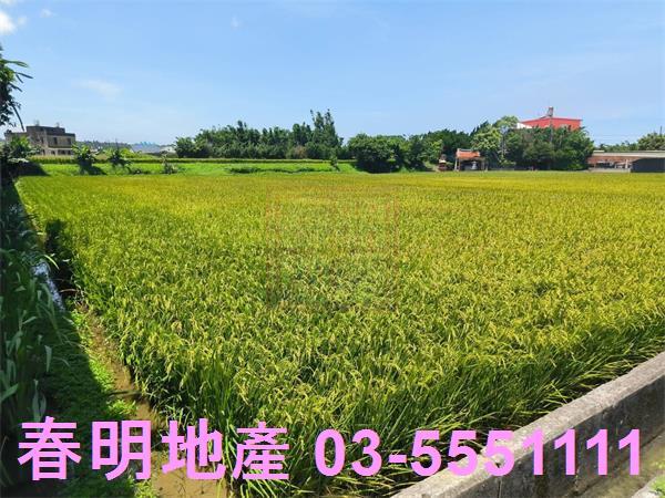 湖口農地-4