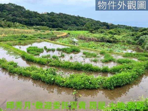 新北三芝農地-5